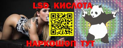 стафф Новокубанск